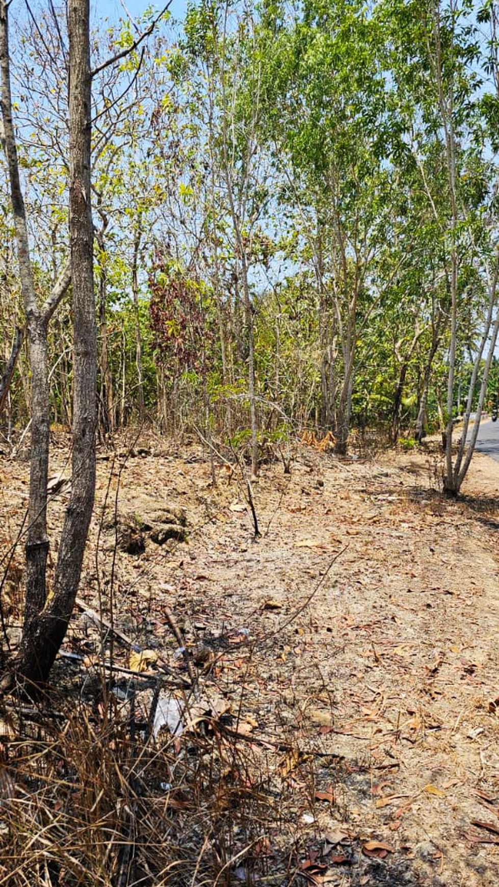 Tanah Kavling, Lokasi Cukup Strategis Di Ds Kulur, Temon, Kulonprogo