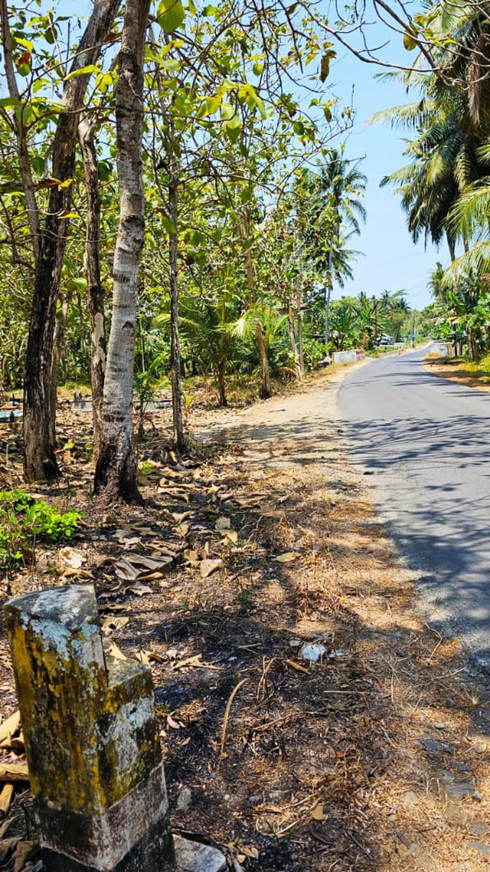 Tanah Kavling, Lokasi Cukup Strategis Di Ds Kulur, Temon, Kulonprogo