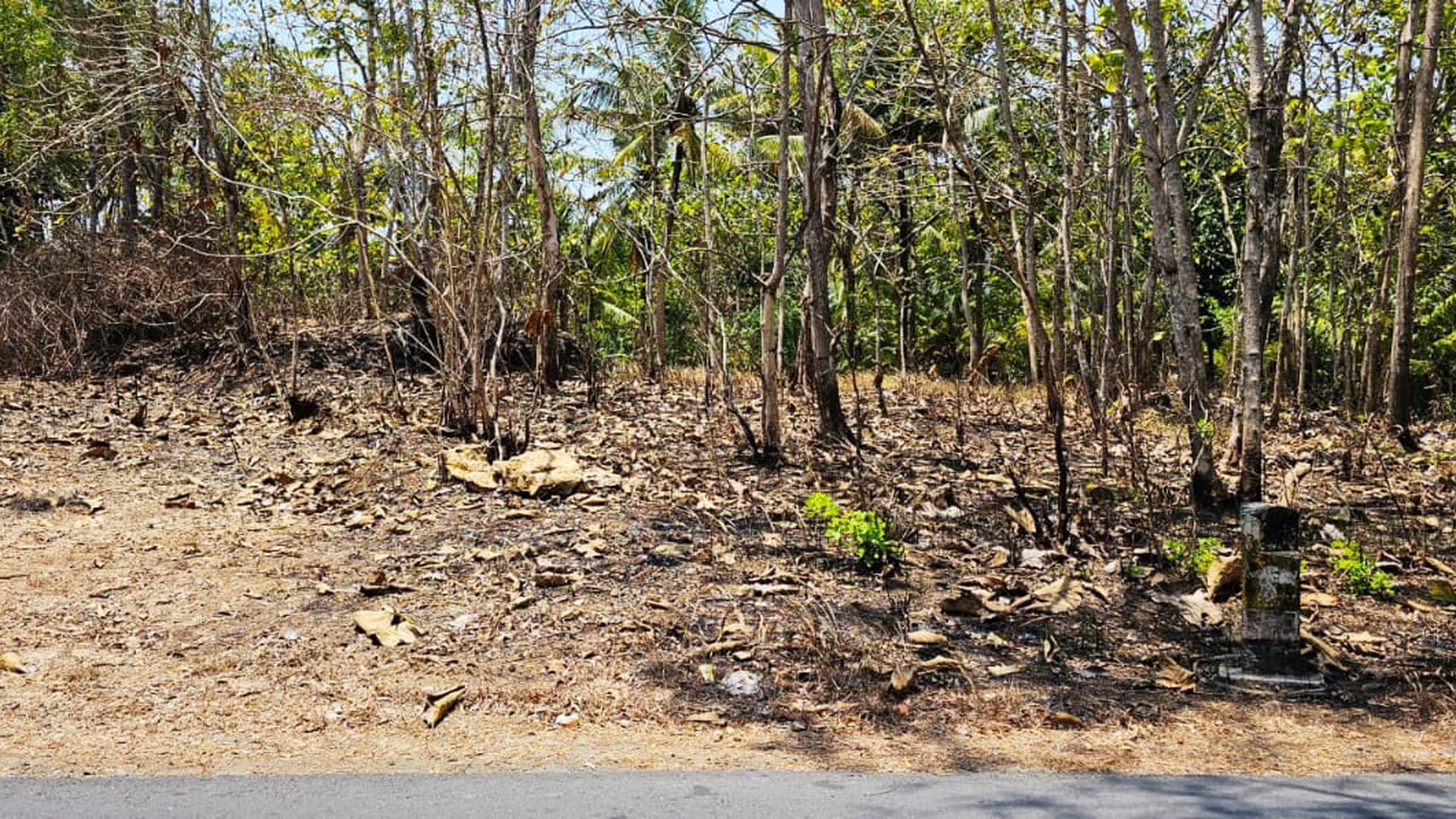 Tanah Kavling, Lokasi Cukup Strategis Di Ds Kulur, Temon, Kulonprogo