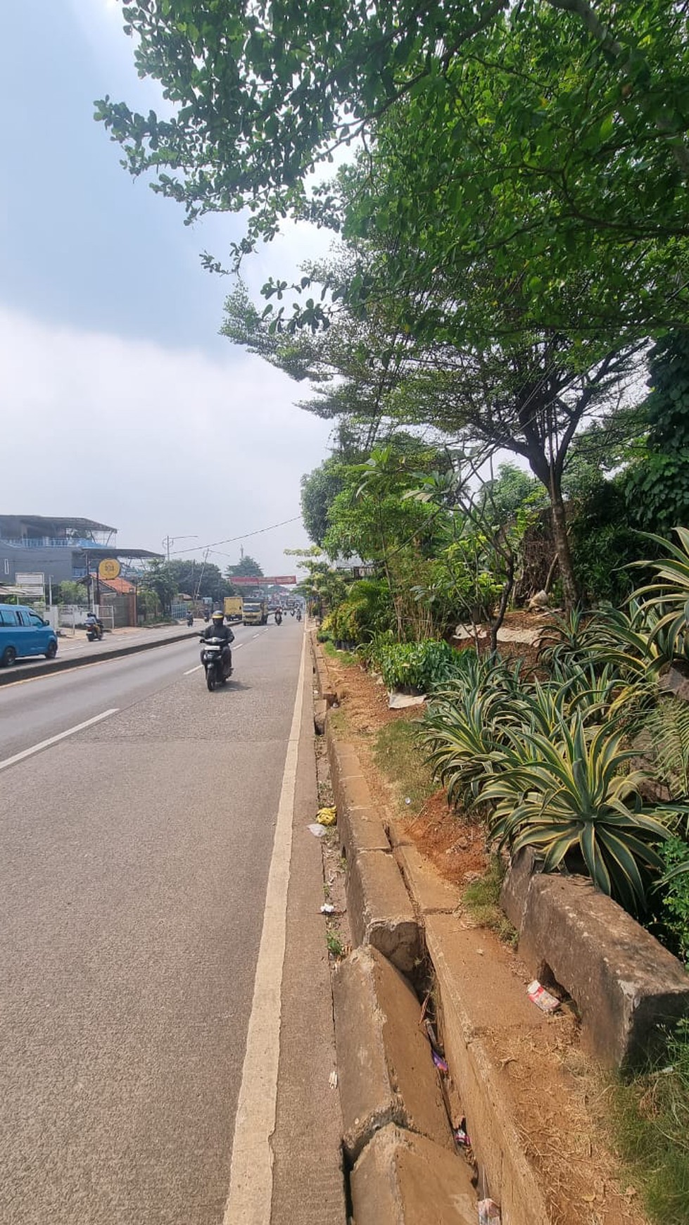 Lahan komersial di jalan parung raya cocok untuk perumahan dan bisnis 