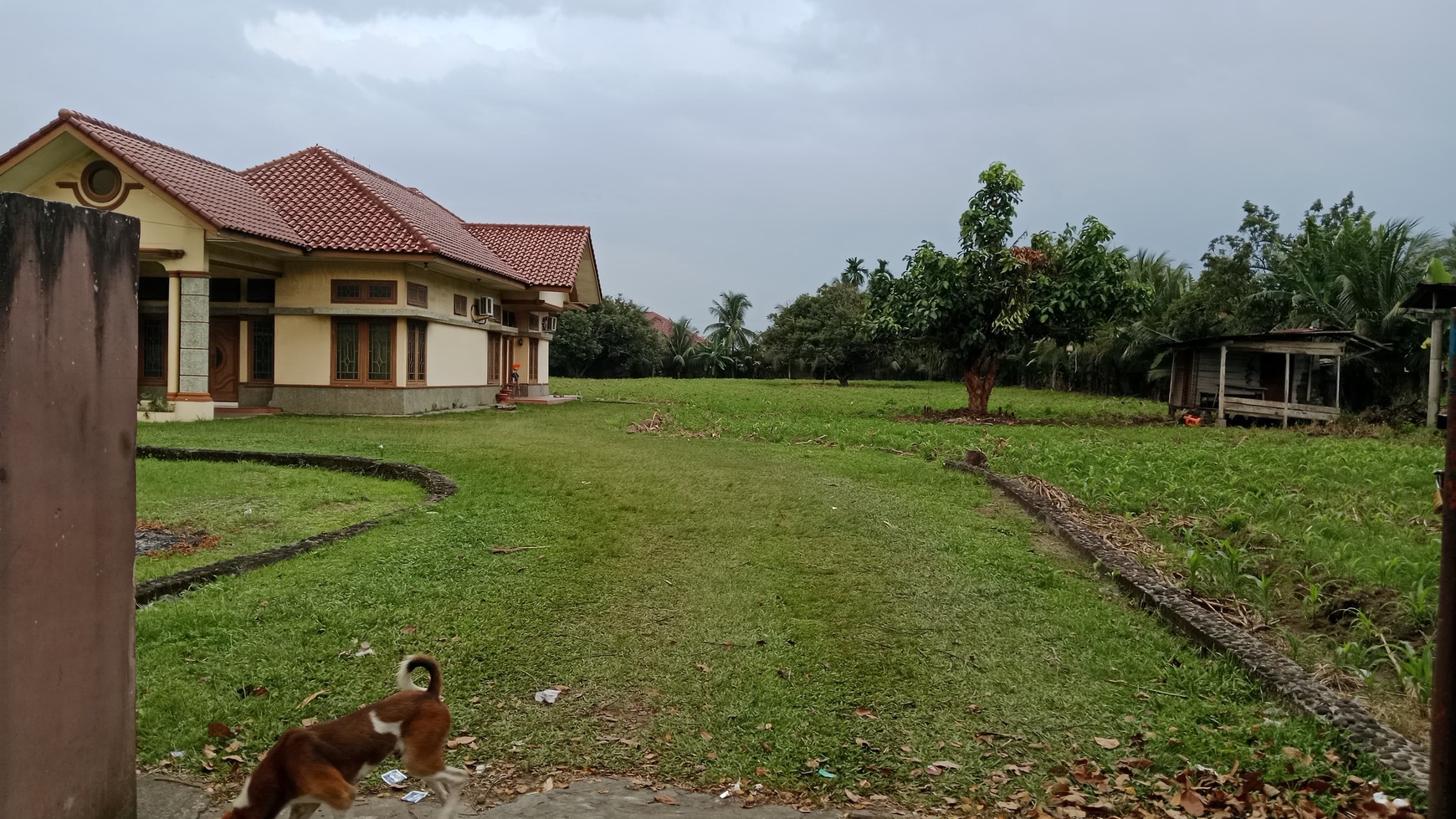 Rumah di kawasan komersil di jalan jamin ginting, medan, sumatra utara