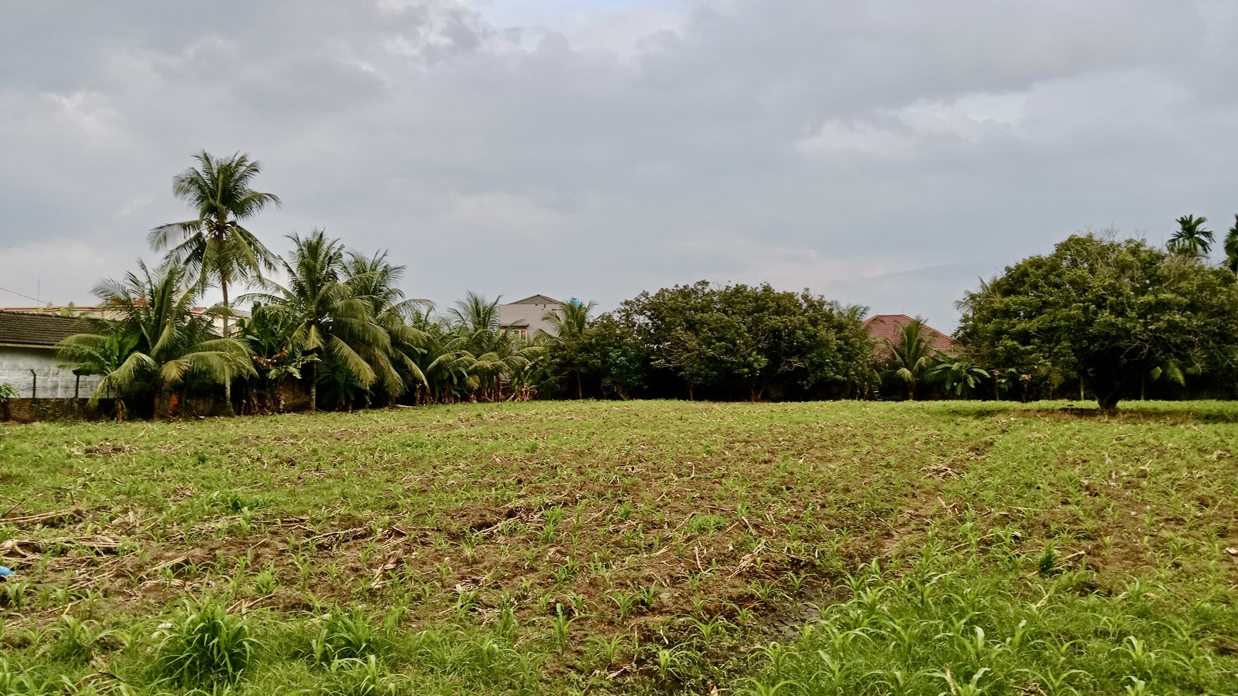 Rumah di kawasan komersil di jalan jamin ginting, medan, sumatra utara