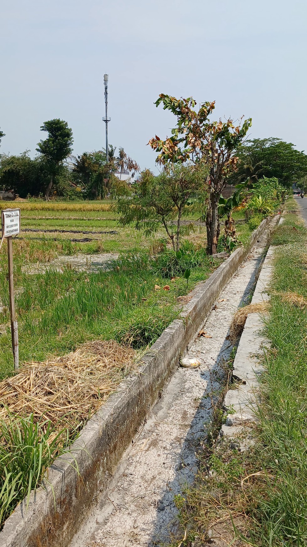 Tanah Sawah Seluas 582 Meter Persegi Lokasi Menden Bantul 