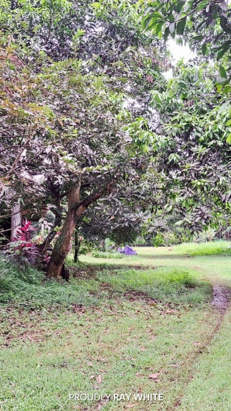 Tanah Luas di Cibubur