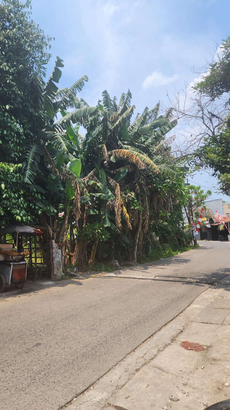 Kavling Pinggir Jalan Dekat ke Kampus UPJ Bintaro