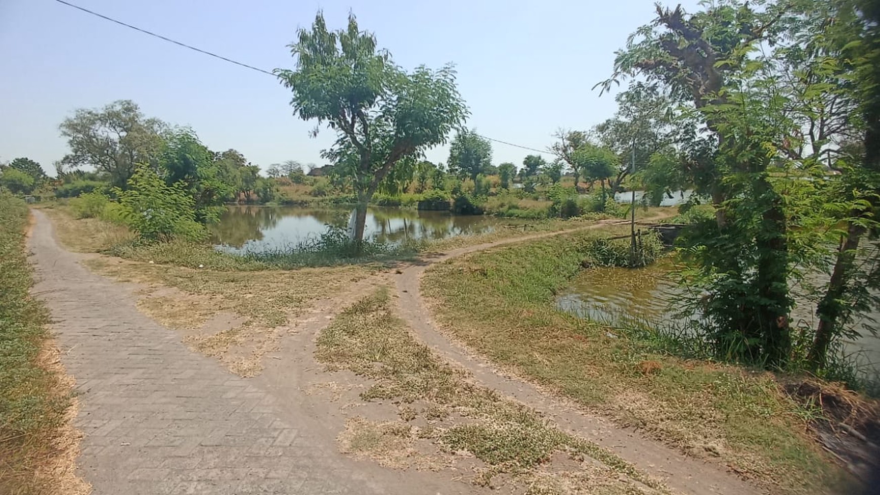 DIJUAL TANAH (TAMBAK AKTIF} MURAH, JABON