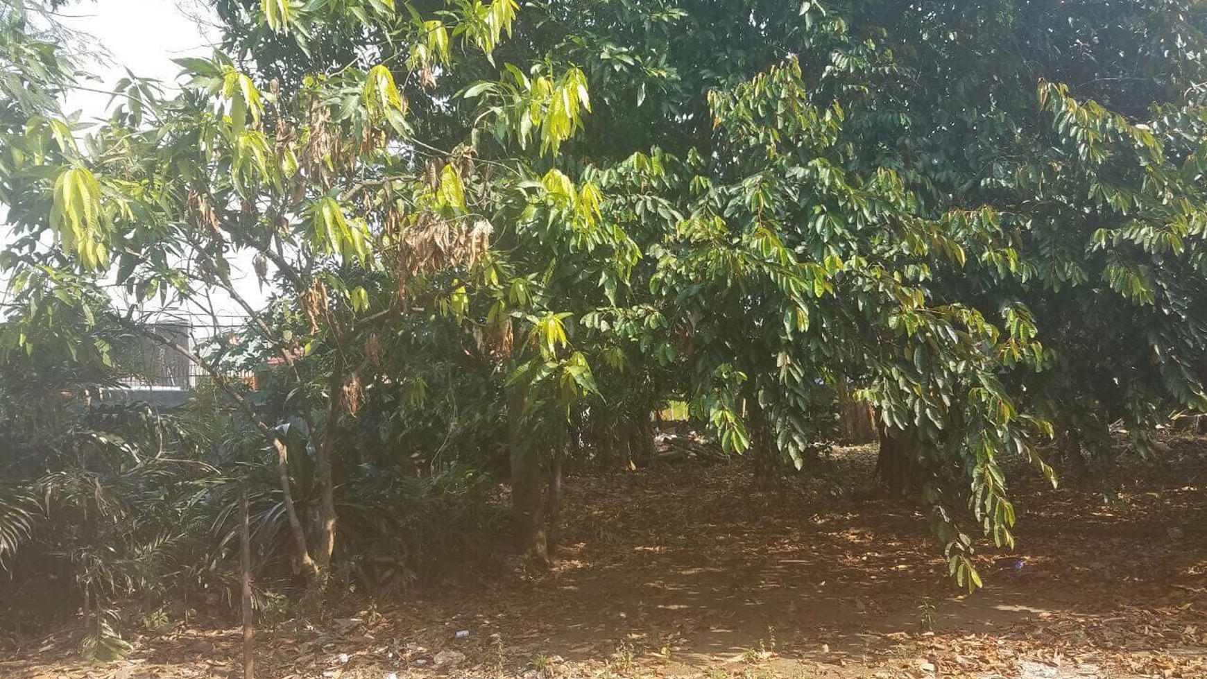 Rumah siap huni di Larangan Cileduk