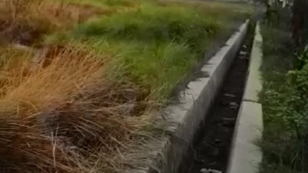 Dijual Tanah di Desa Kebraon, Tulangan, Sidoarjo