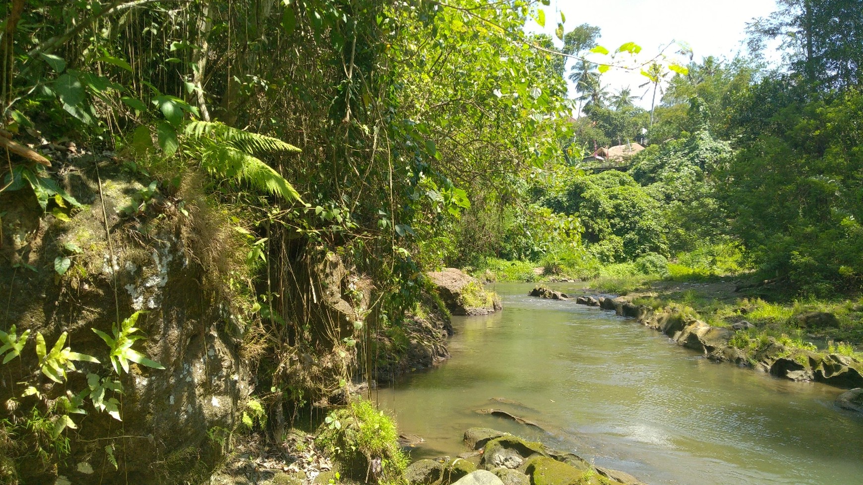 Freehold 1.500 sqm Land with Stunning Views of Valley and River in Ubud - Terraced Contours, Perfect for Luxury Villas