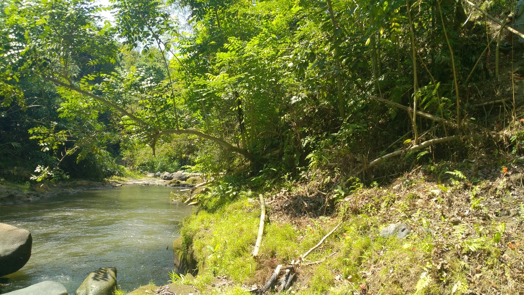 Freehold 1.500 sqm Land with Stunning Views of Valley and River in Ubud - Terraced Contours, Perfect for Luxury Villas