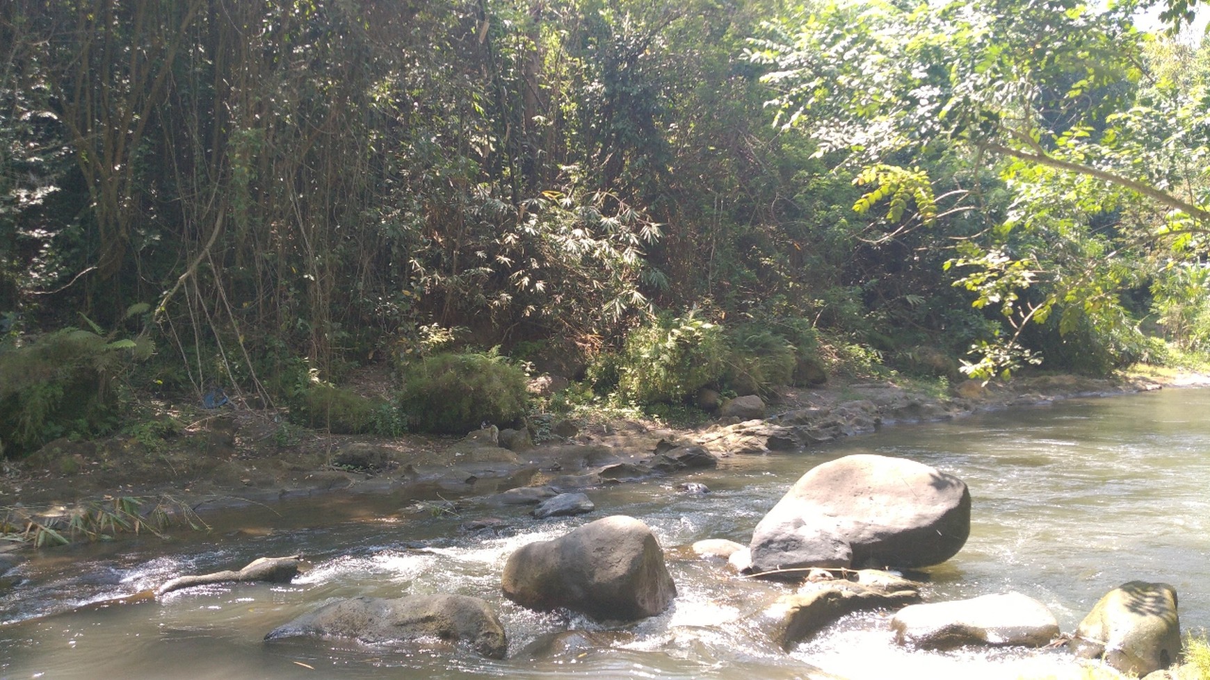 Freehold 1.500 sqm Land with Stunning Views of Valley and River in Ubud - Terraced Contours, Perfect for Luxury Villas