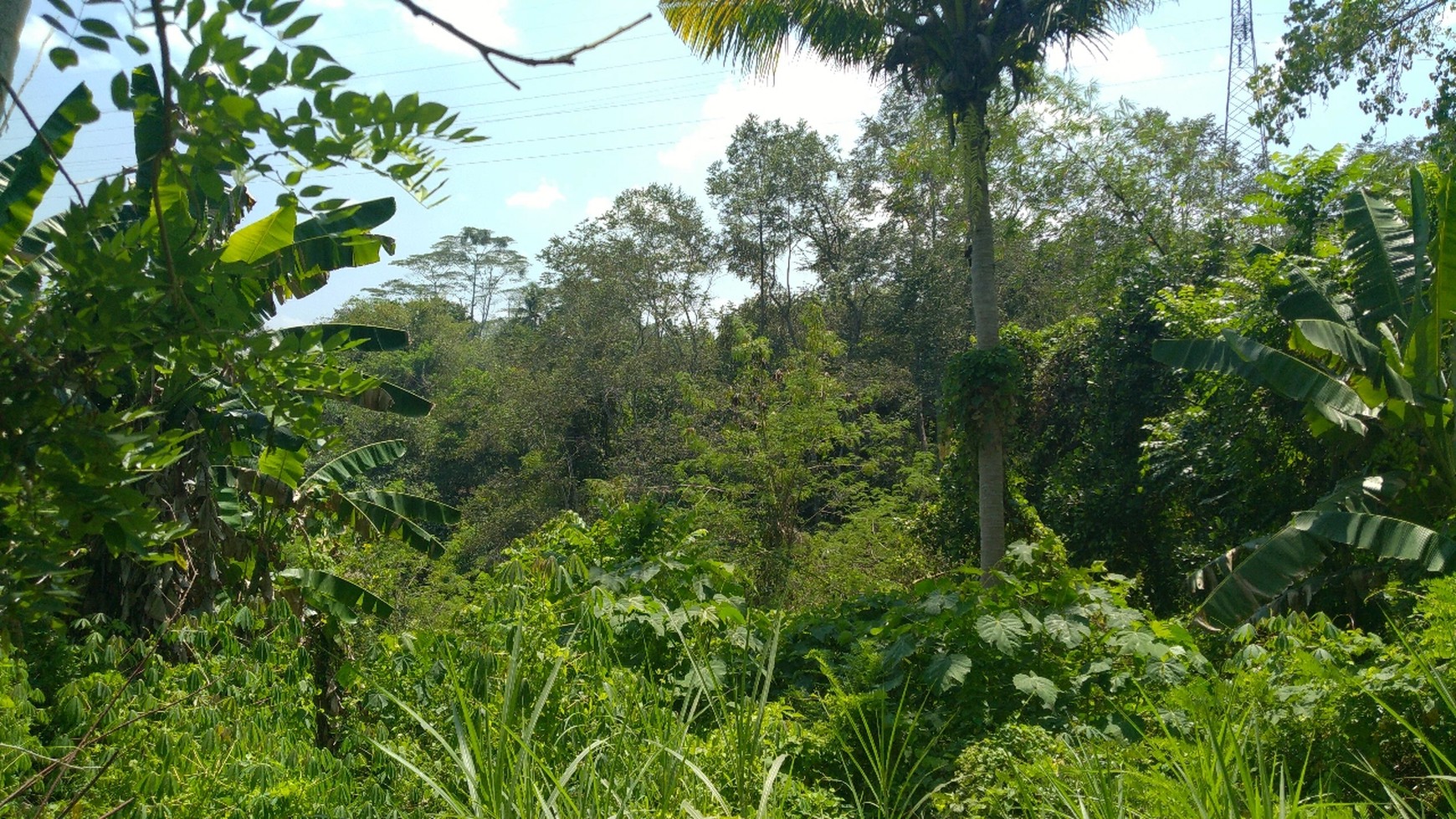 Freehold 1.500 sqm Land with Stunning Views of Valley and River in Ubud - Terraced Contours, Perfect for Luxury Villas