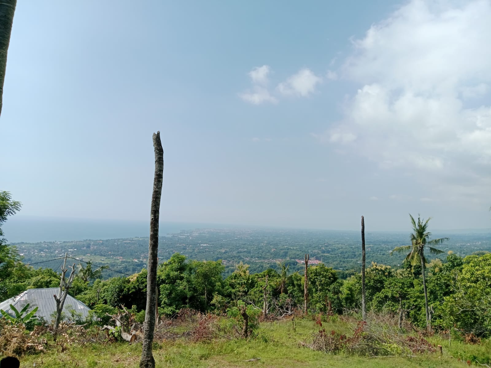 Super Ocean View Land For Sale In Lovina