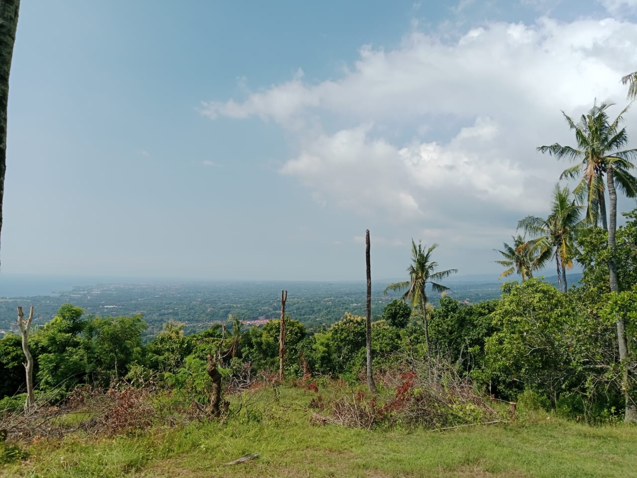 Super Ocean View Land For Sale In Lovina