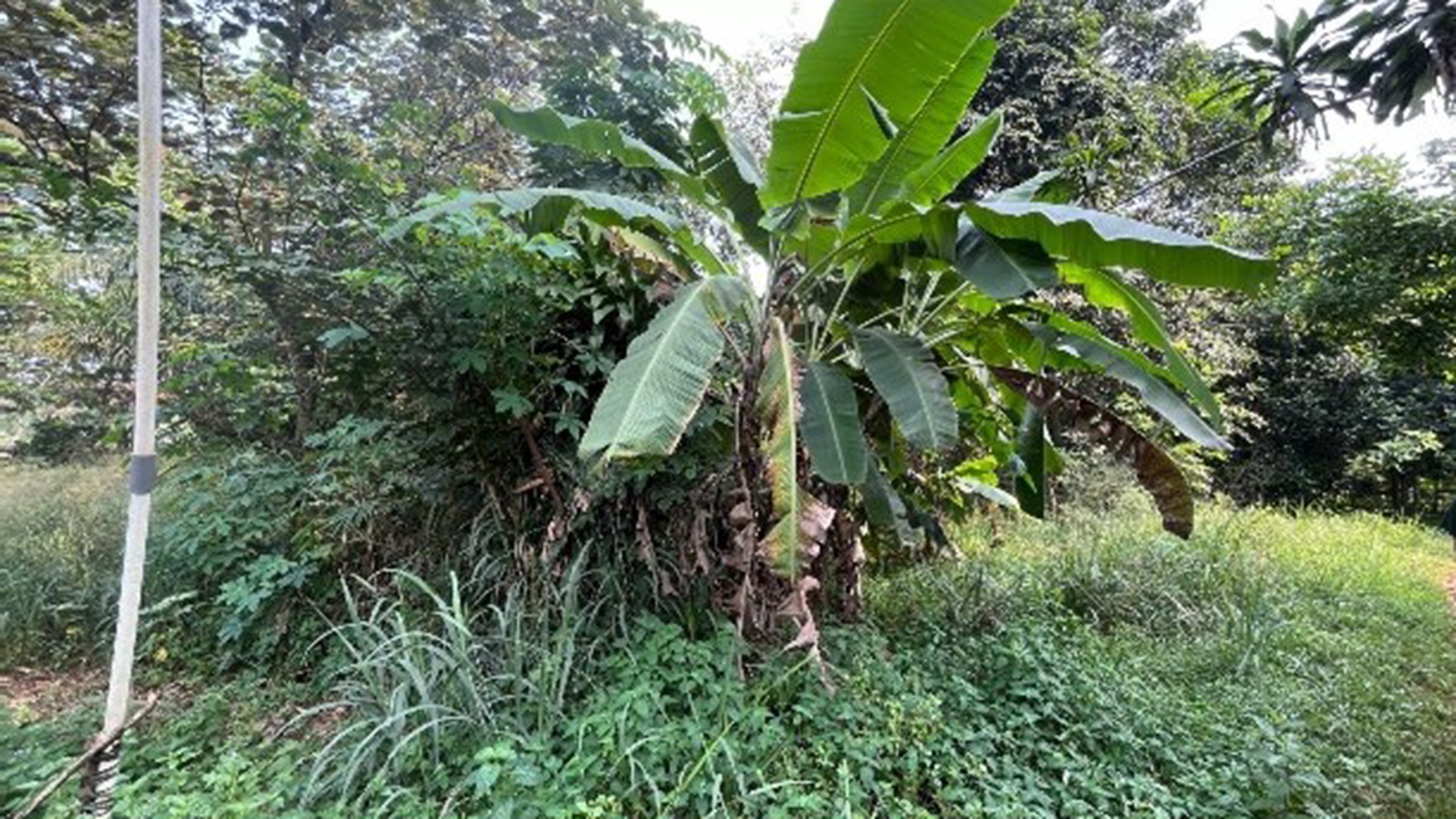 Kavling siap bangun, lokasi di Tajur