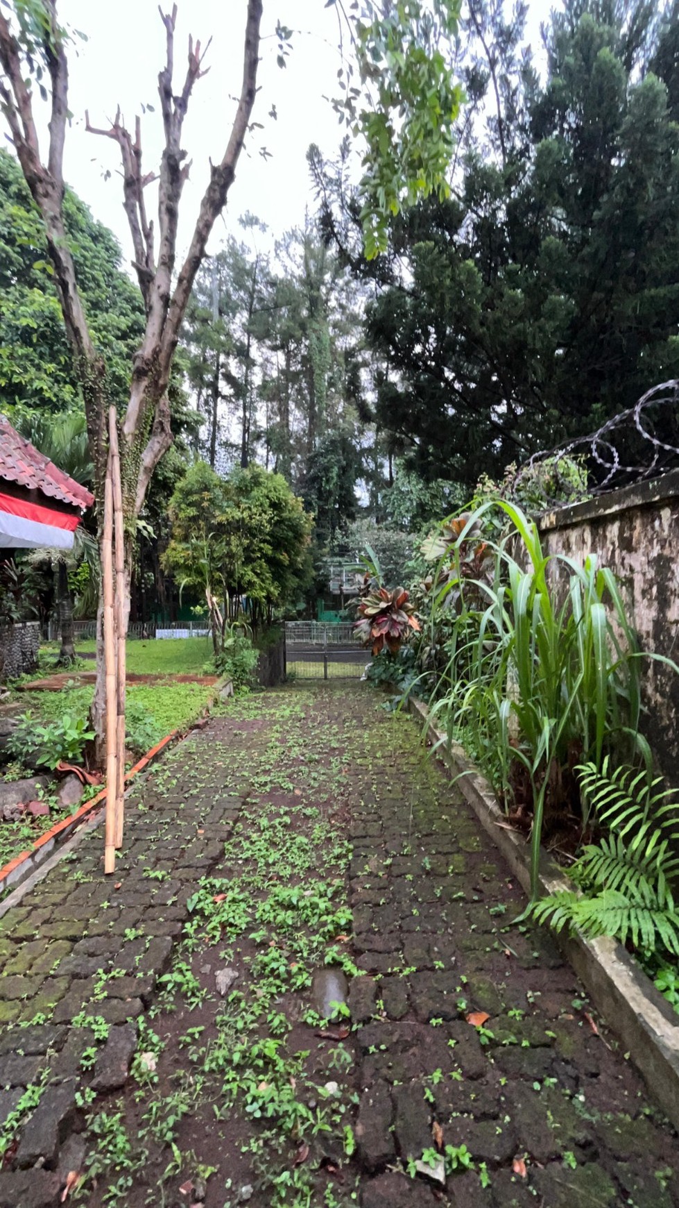 Rumah asri, luas di Bogor