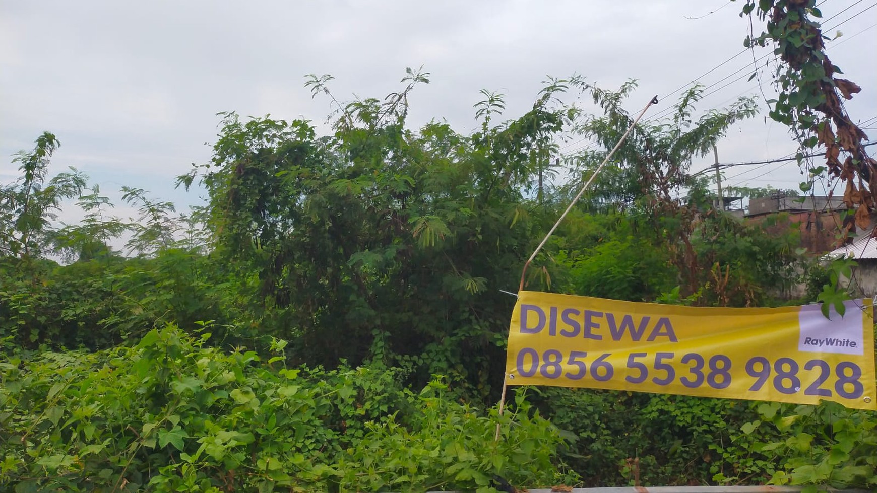 DISEWAKAN LAHAN LUAS 2400 MURAH FRONTAGE SURABAYA SIDOARJO