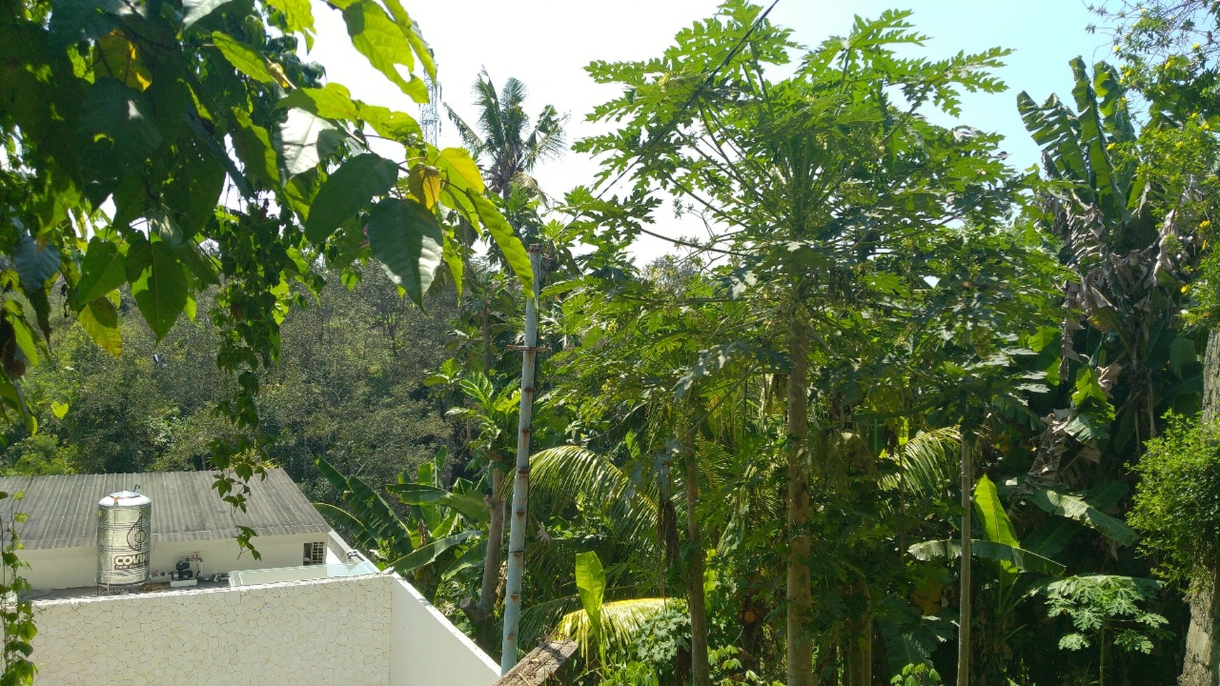 Freehold 1.500 sqm Land with Stunning Views of Valley and River in Ubud - Terraced Contours, Perfect for Luxury Villas