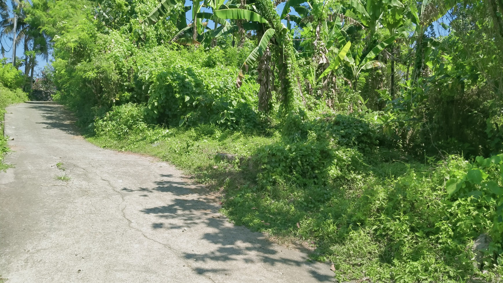 Freehold 1.500 sqm Land with Stunning Views of Valley and River in Ubud - Terraced Contours, Perfect for Luxury Villas