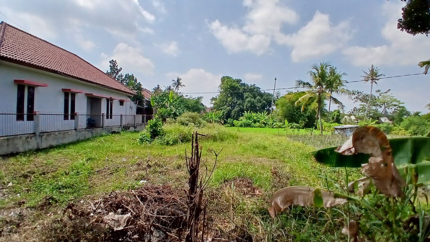 Tanah Luas Lokasi Strategis Daerah Sardonoharjo Ngaglik Sleman 