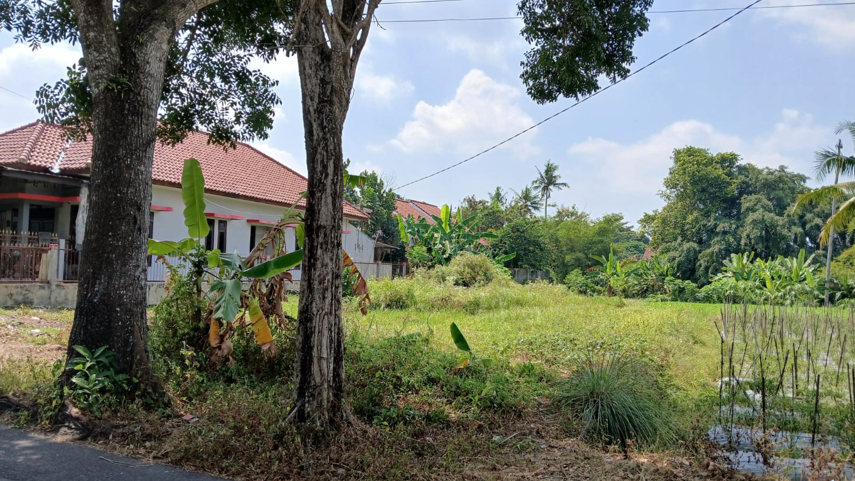 Tanah Luas Lokasi Strategis Daerah Sardonoharjo Ngaglik Sleman 