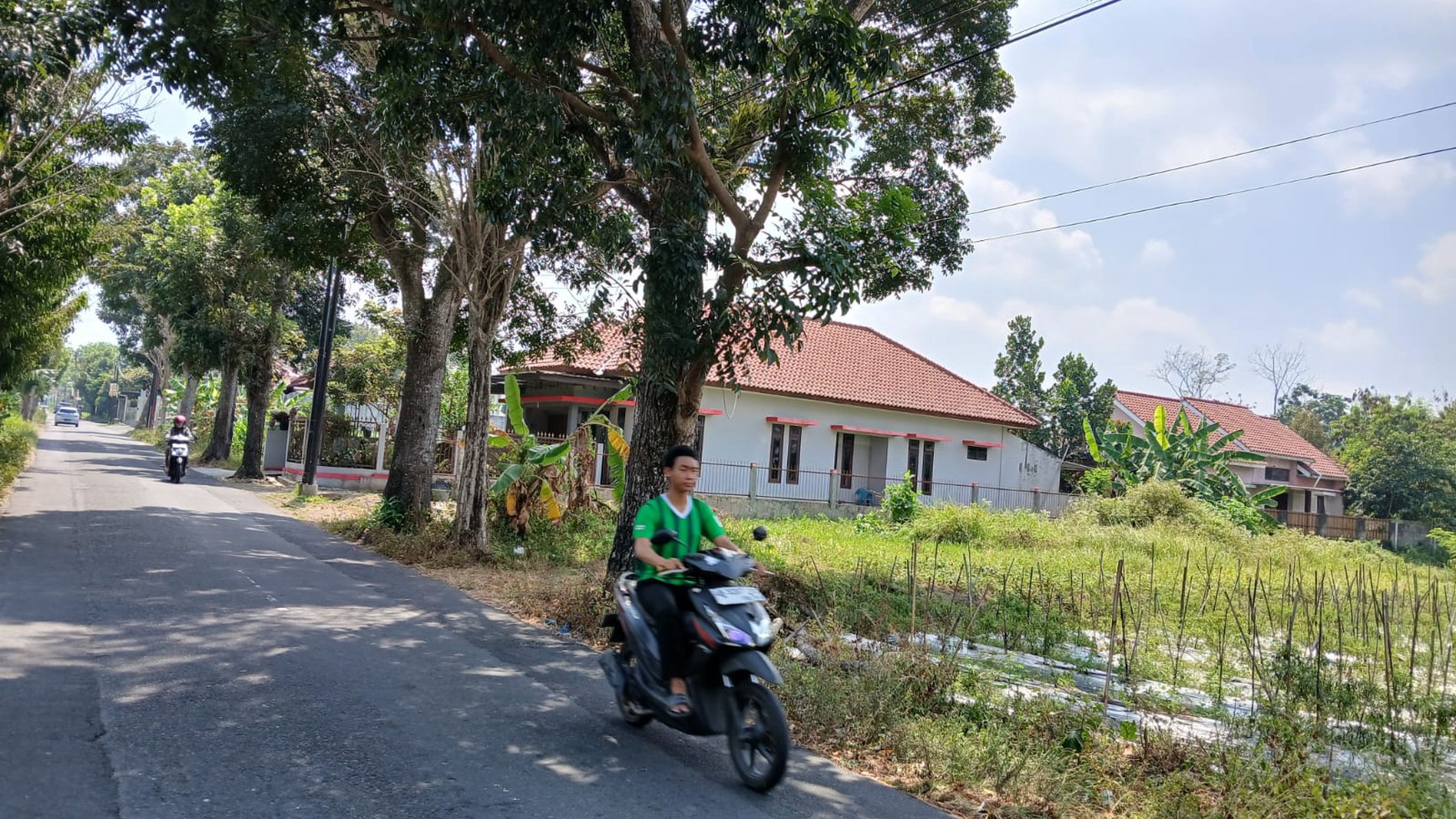 Tanah Luas Lokasi Strategis Daerah Sardonoharjo Ngaglik Sleman 