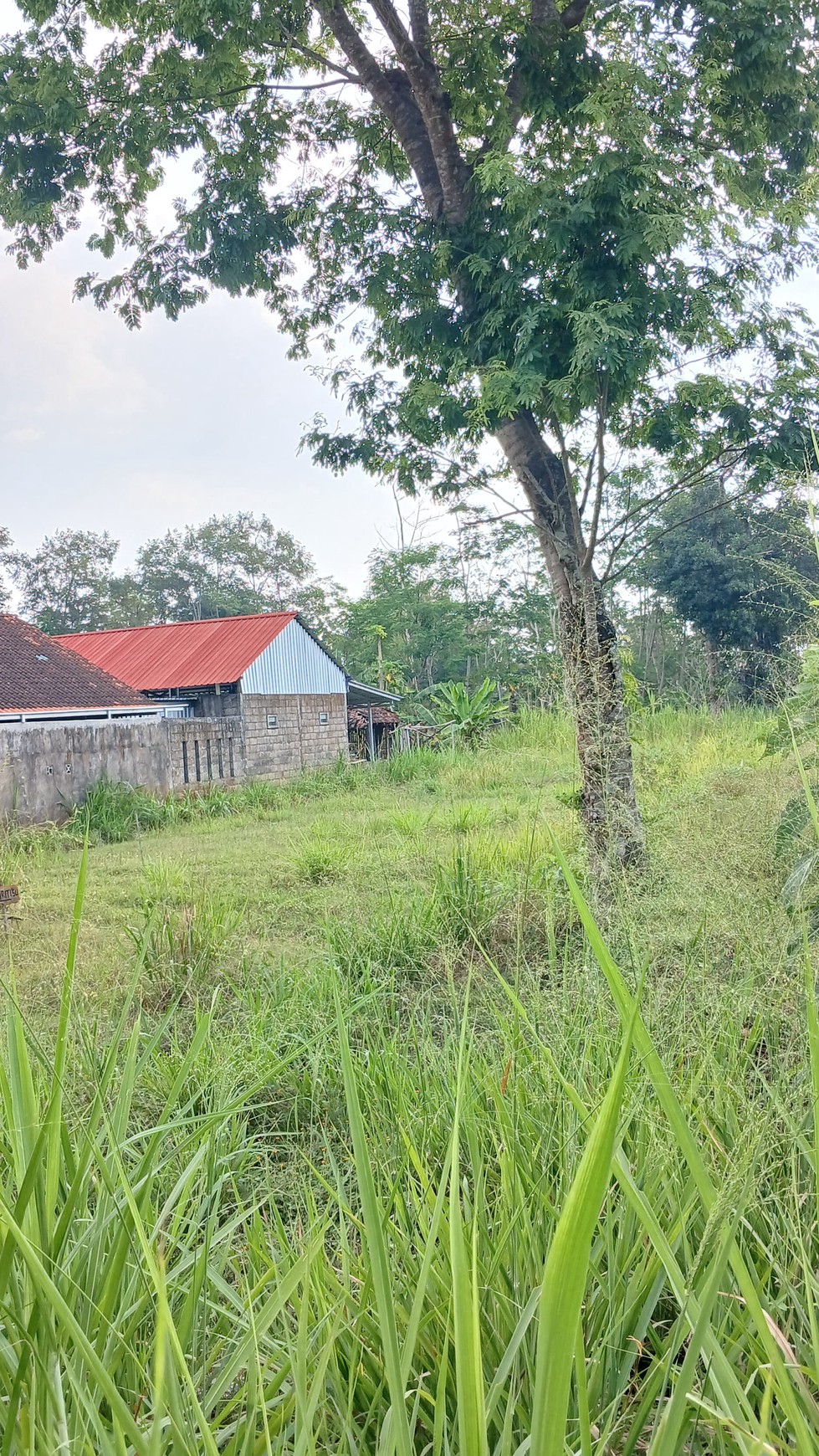 Tanah Sawah Luas 834 Meter Persegi Lokasi Dekat Kampus UII Ngaglik Sleman 