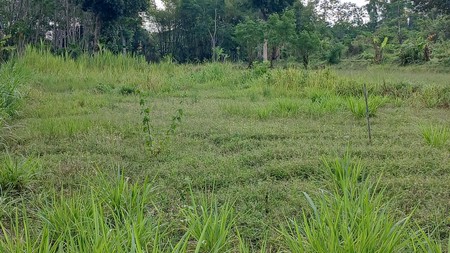 Tanah Sawah Luas 834 Meter Persegi Lokasi Dekat Kampus UII Ngaglik Sleman 