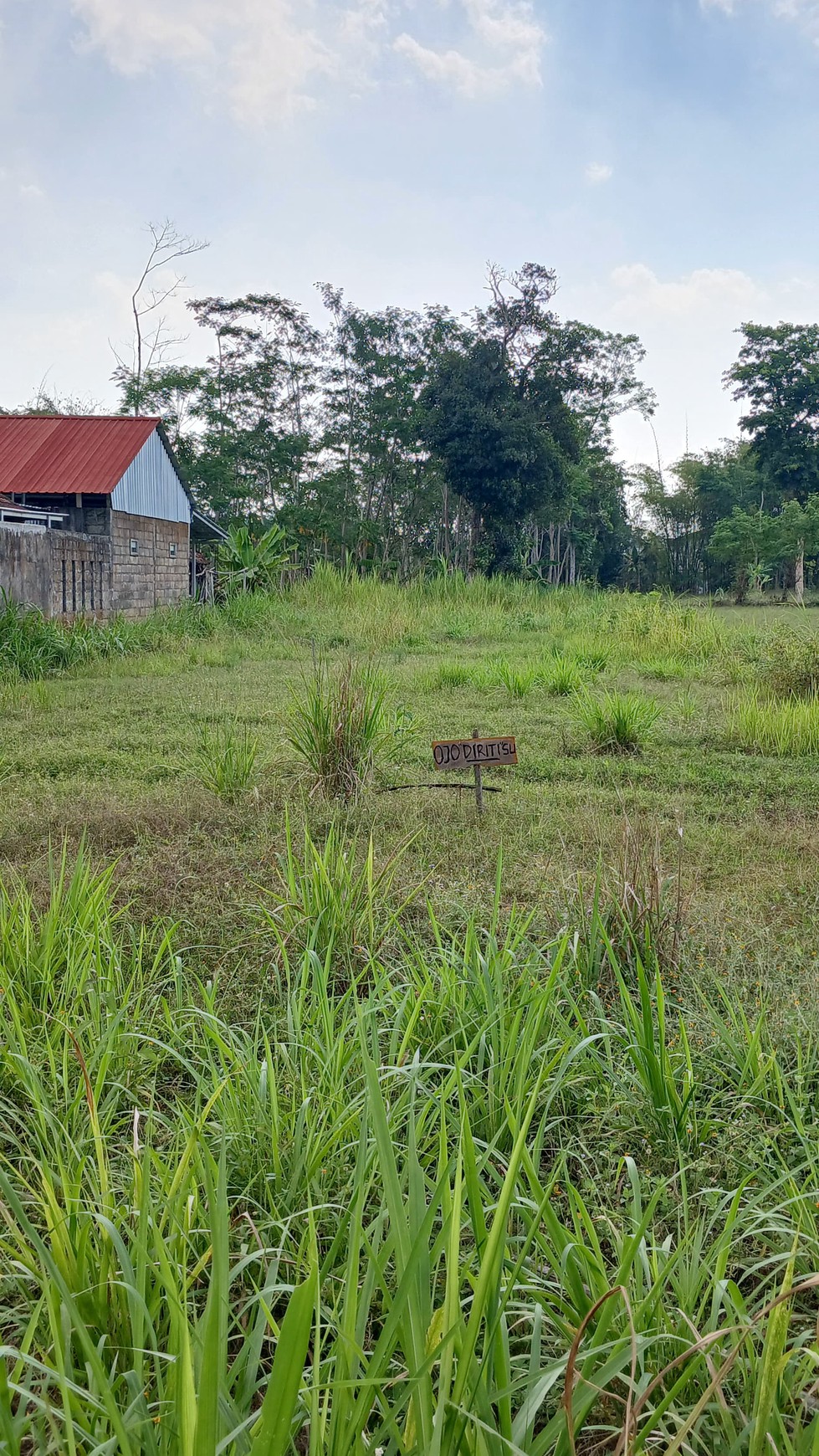 Tanah Sawah Luas 834 Meter Persegi Lokasi Dekat Kampus UII Ngaglik Sleman 