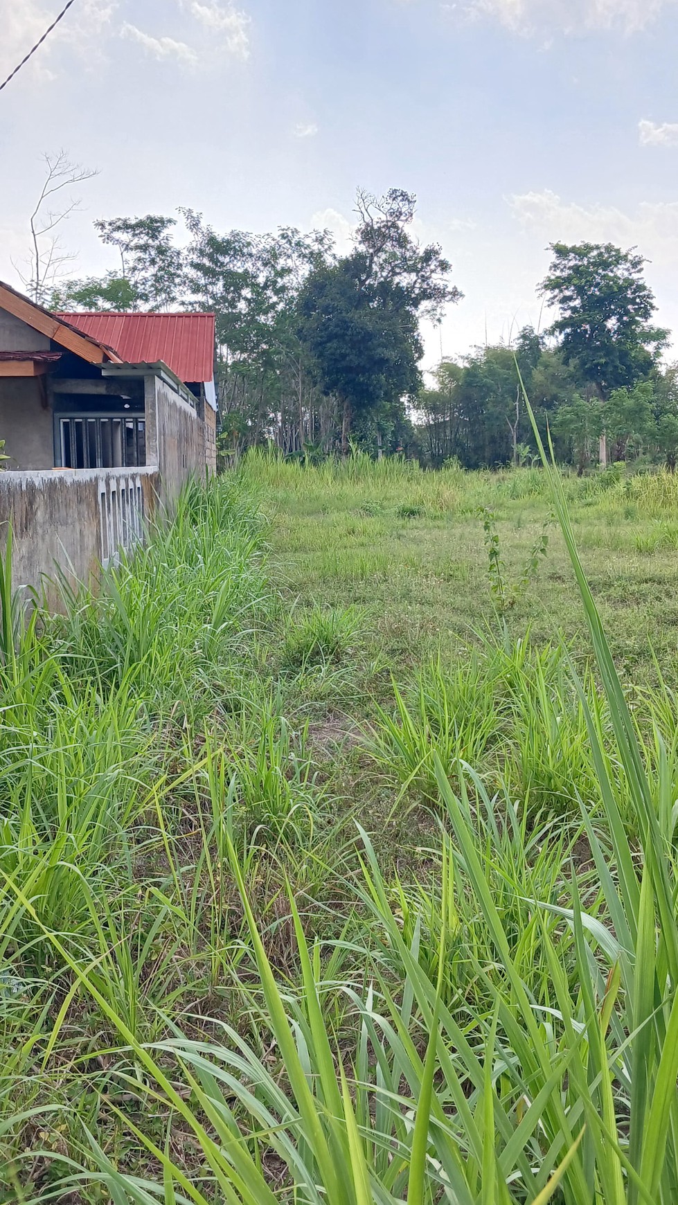 Tanah Sawah Luas 834 Meter Persegi Lokasi Dekat Kampus UII Ngaglik Sleman 