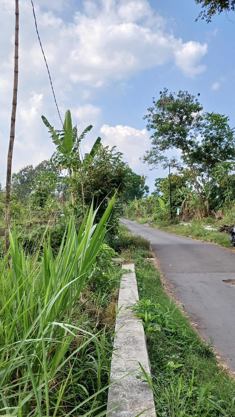 Tanah Sawah Luas 834 Meter Persegi Lokasi Dekat Kampus UII Ngaglik Sleman 