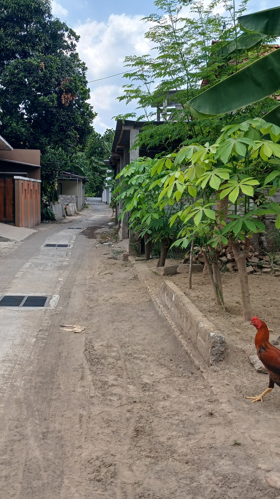 Tanah Luas 188 Meter Persegi Lokasi Strategis Dekat Kampus ISI Sewon Bantul 