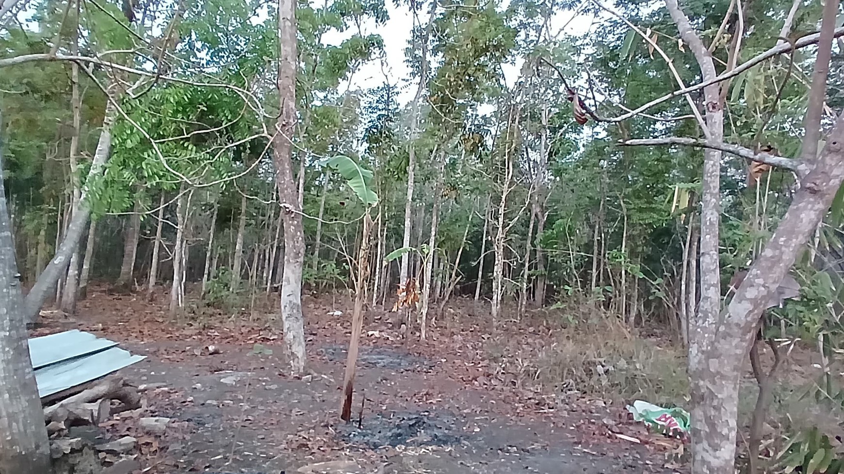 Tanah Pekarangan Lokasi Dekat Wisata Goa Selarong Kasihan Bantul