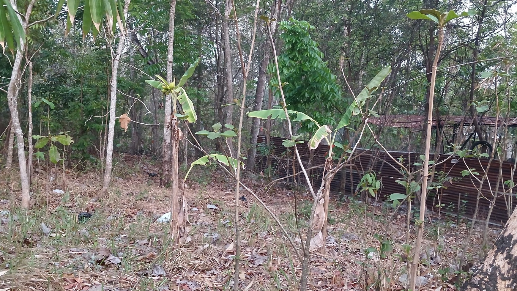 Tanah Pekarangan Lokasi Dekat Wisata Goa Selarong Kasihan Bantul