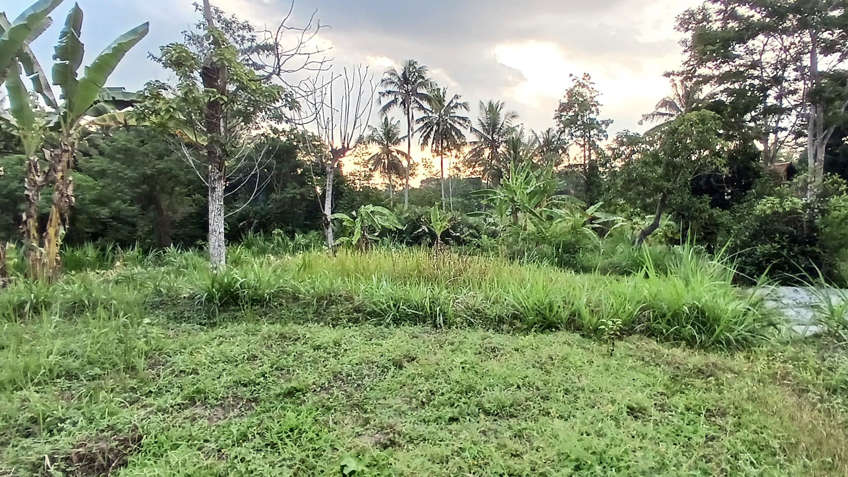 Tanah sawah Luas 829 Meter Persegi Lokasi Pakembinangun Sleman 