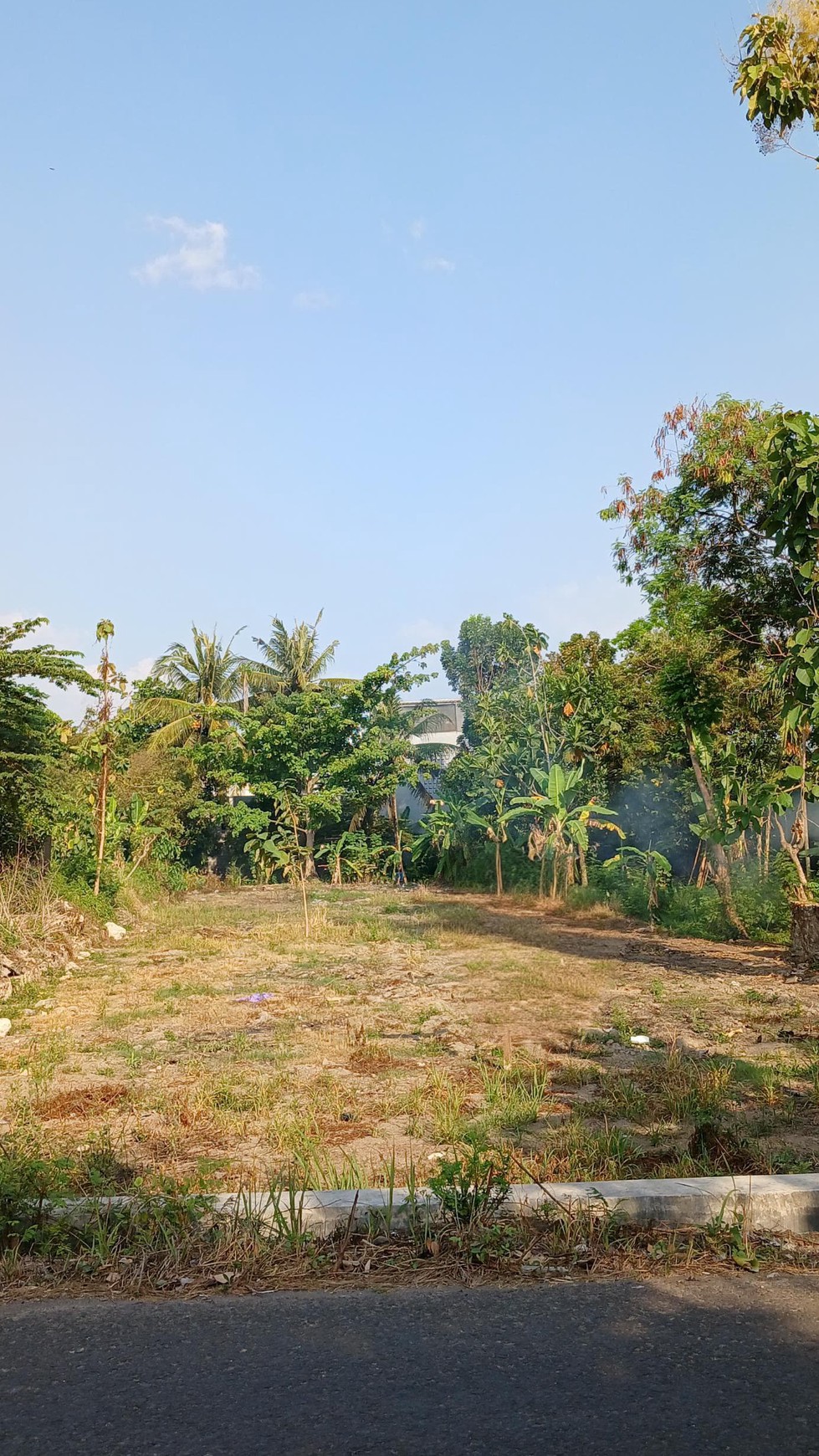 Tanah Pekarangan Lokasi Strategis Dekat Kampus UMY Kasihan Bantul