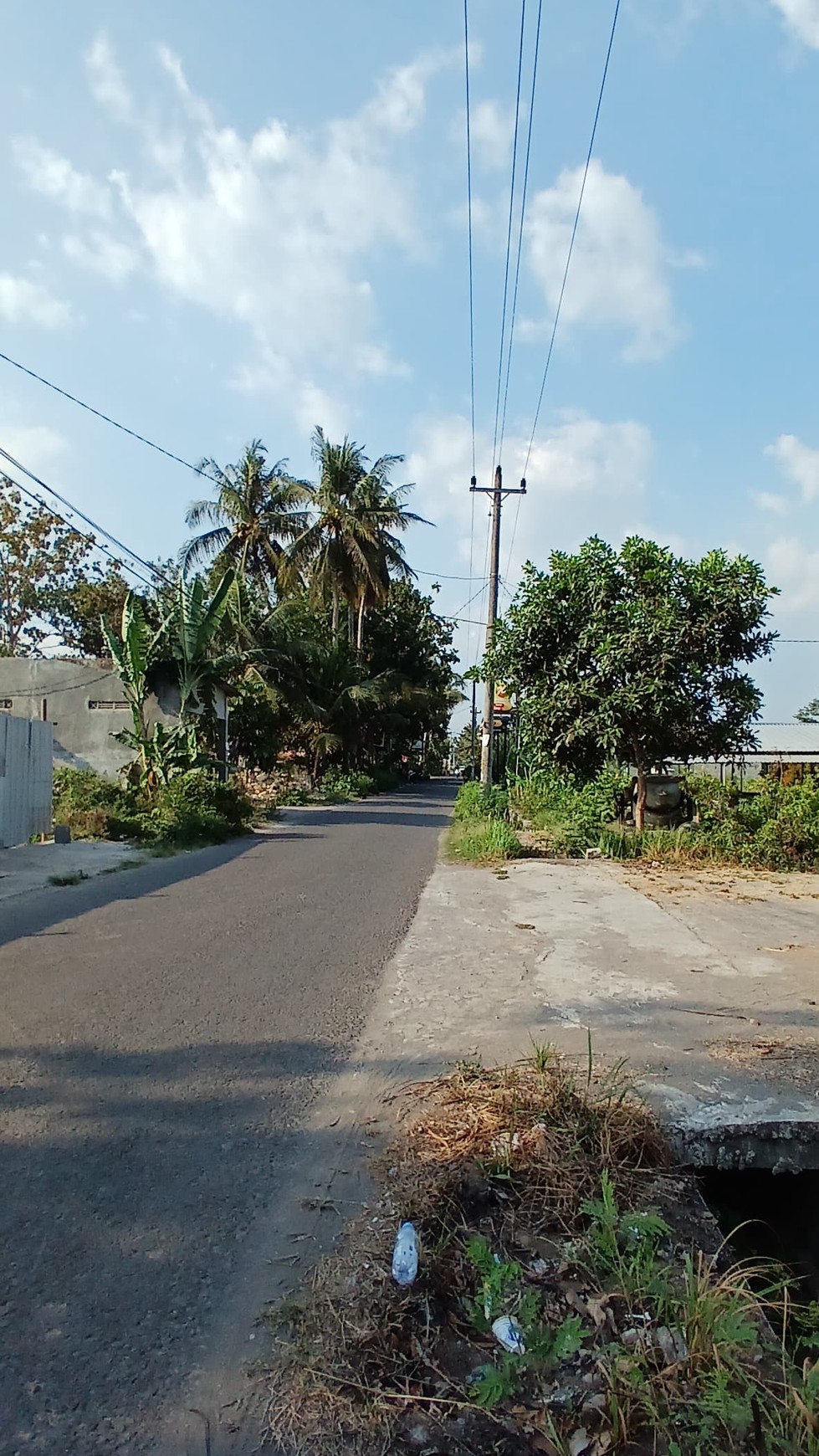 Tanah Pekarangan Lokasi Strategis Dekat Kampus UMY Kasihan Bantul