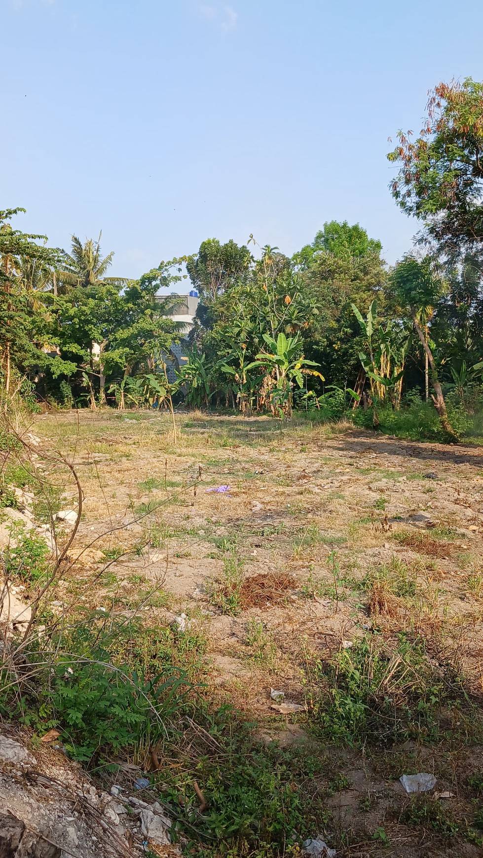 Tanah Pekarangan Lokasi Strategis Dekat Kampus UMY Kasihan Bantul