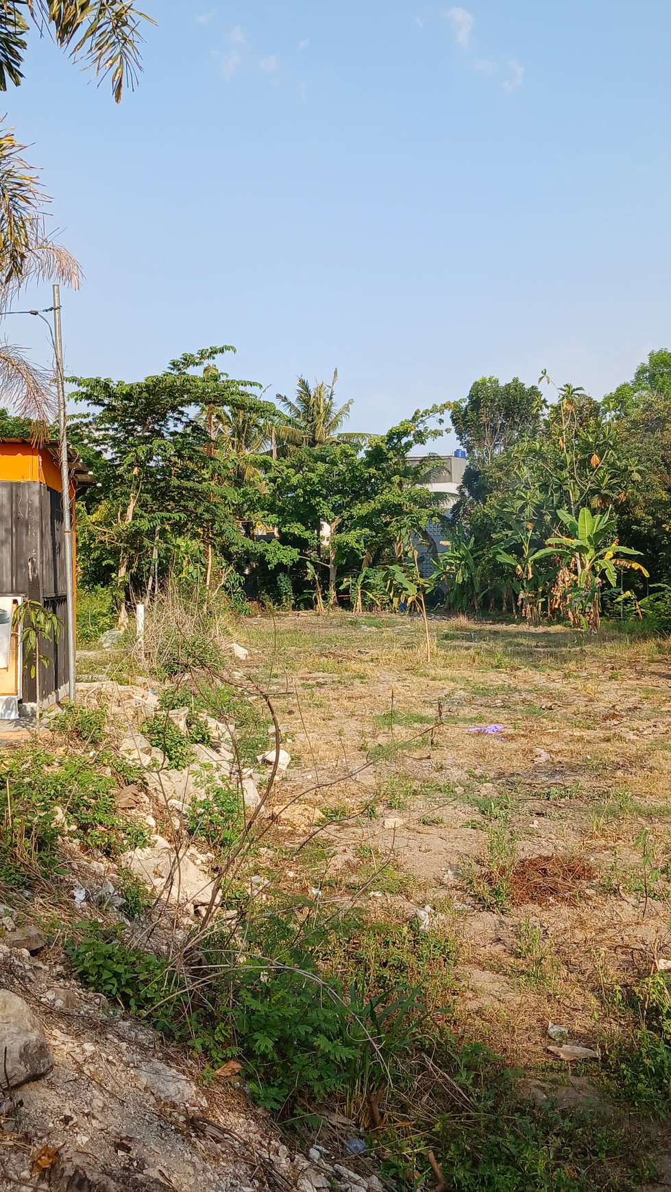 Tanah Pekarangan Lokasi Strategis Dekat Kampus UMY Kasihan Bantul