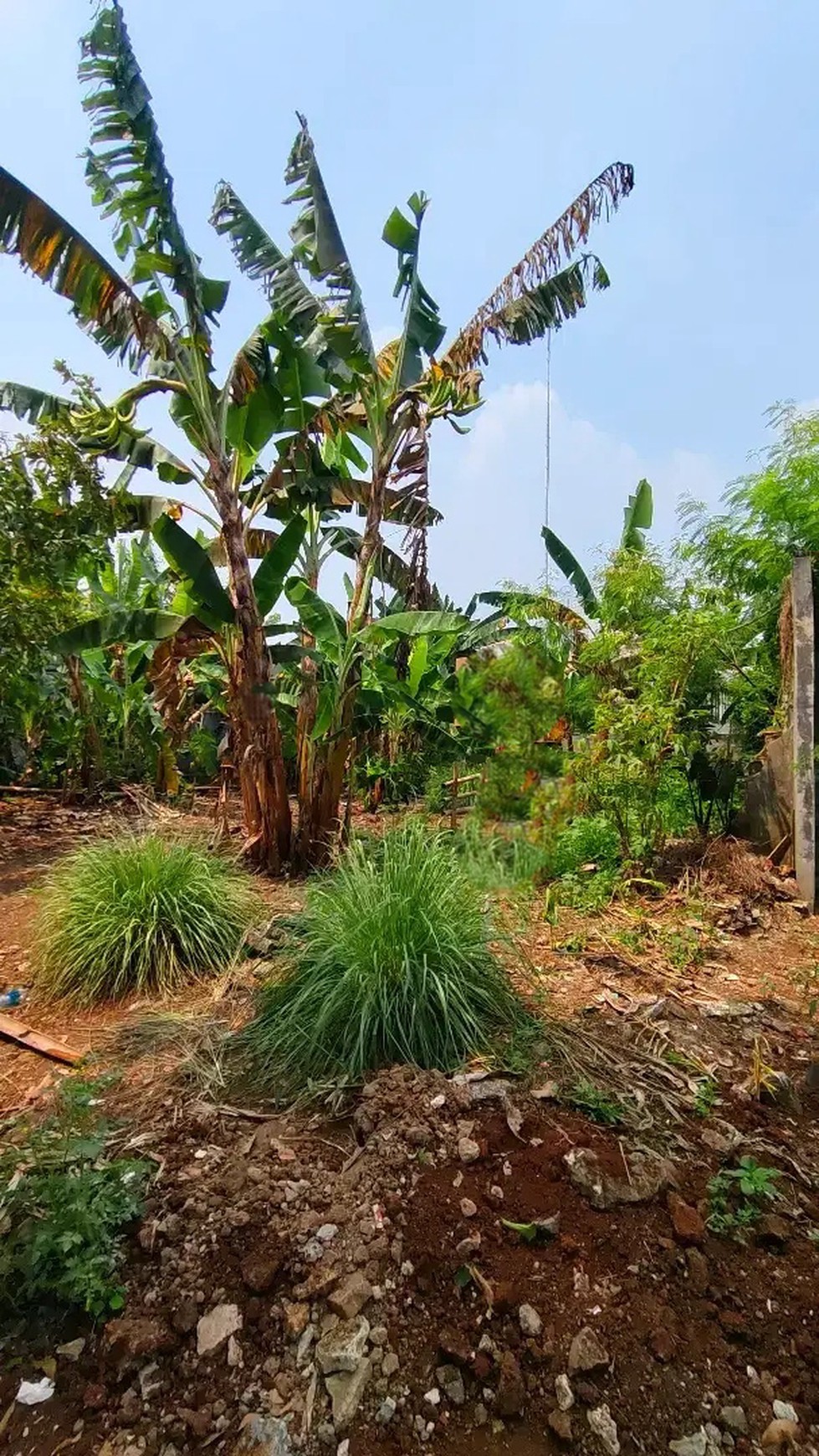 Termurah. Tanah Kavling Bumi Puspitek Asri Pagedangan, lokasi bagus.. 