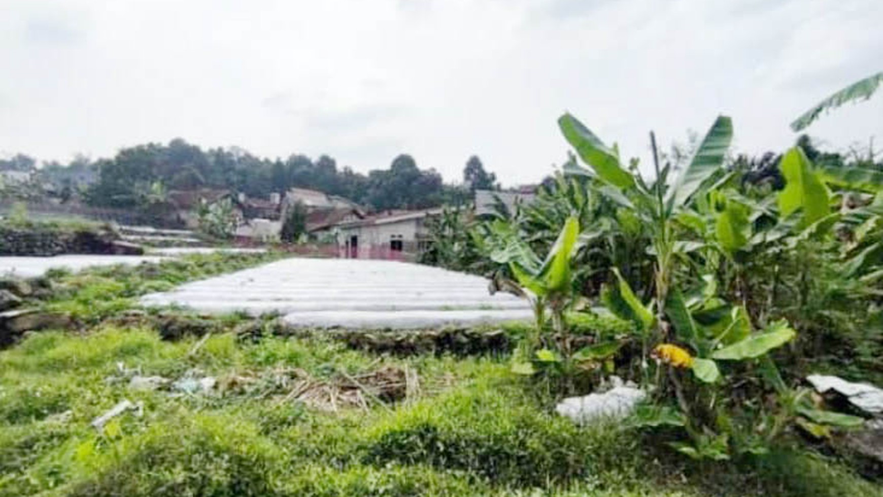 Tanah di Tamansari, Bogor