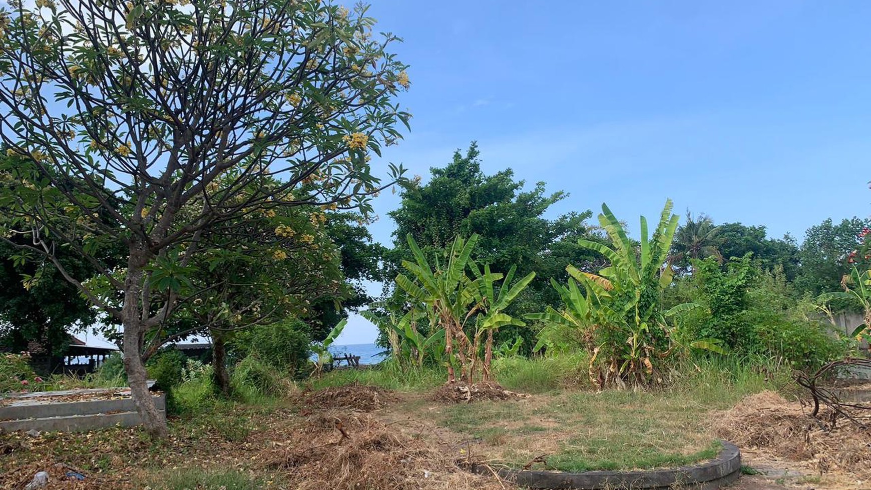 Stunning Beachfront Land Close To Krisna Eco Village For Sale