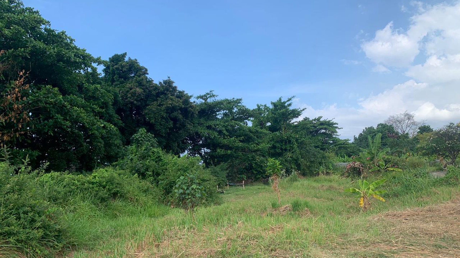 Stunning Beachfront Land Close To Krisna Eco Village For Sale