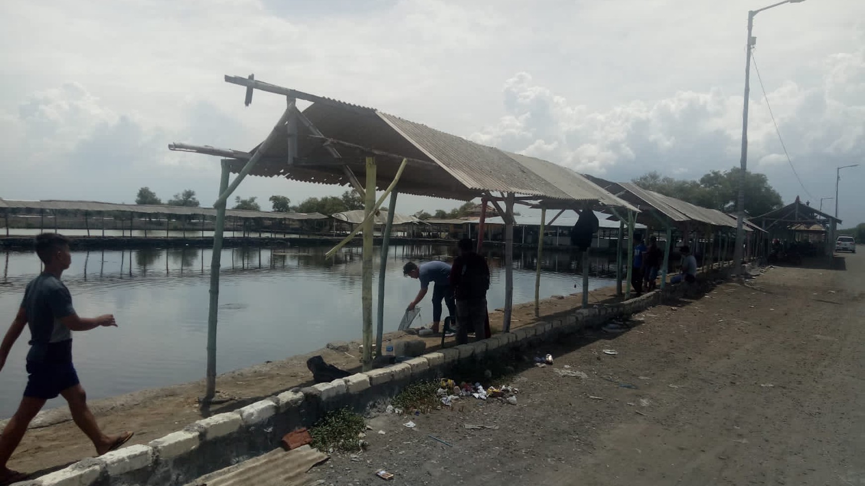 Dijual Tanah Tambak (kolam pancing aktif) 0 Jalan di Kalang Anyar - Sedati Sidoarjo