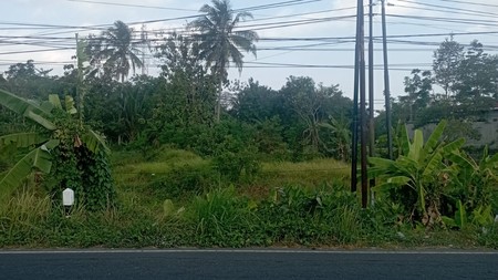 Tanah Sawah Luas 2050 Meter Persegi Lokasi Sinduharjo Ngaglik Sleman 