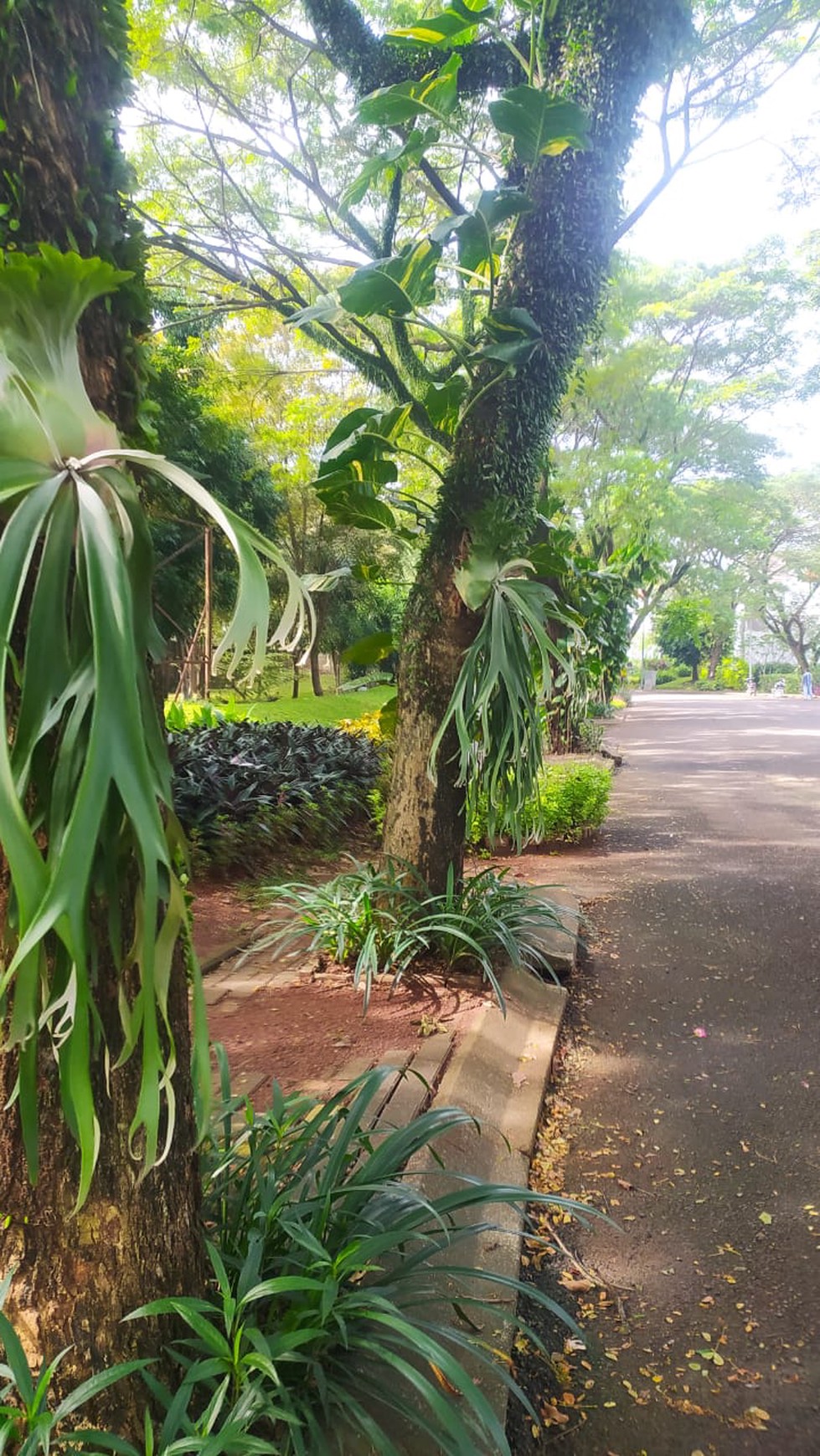 Rumah Bagus Di Green Serpong Bintaro Serpong Tangerang