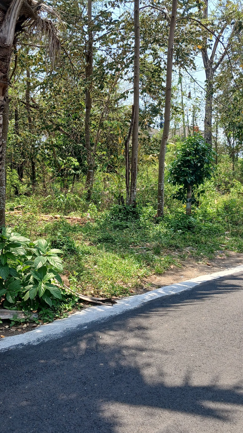 Tanah Seluas 246 Meter Persegi Lokasi Strategis di Daerah Maguwoharjo Depok Sleman 