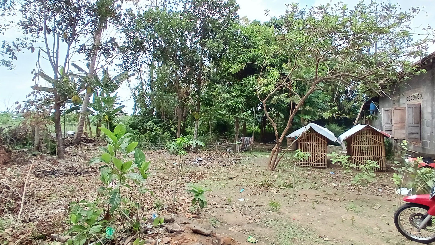 Tanah & Bangunan Lokasi Dekat Pasar Cebongan Mlati Sleman 