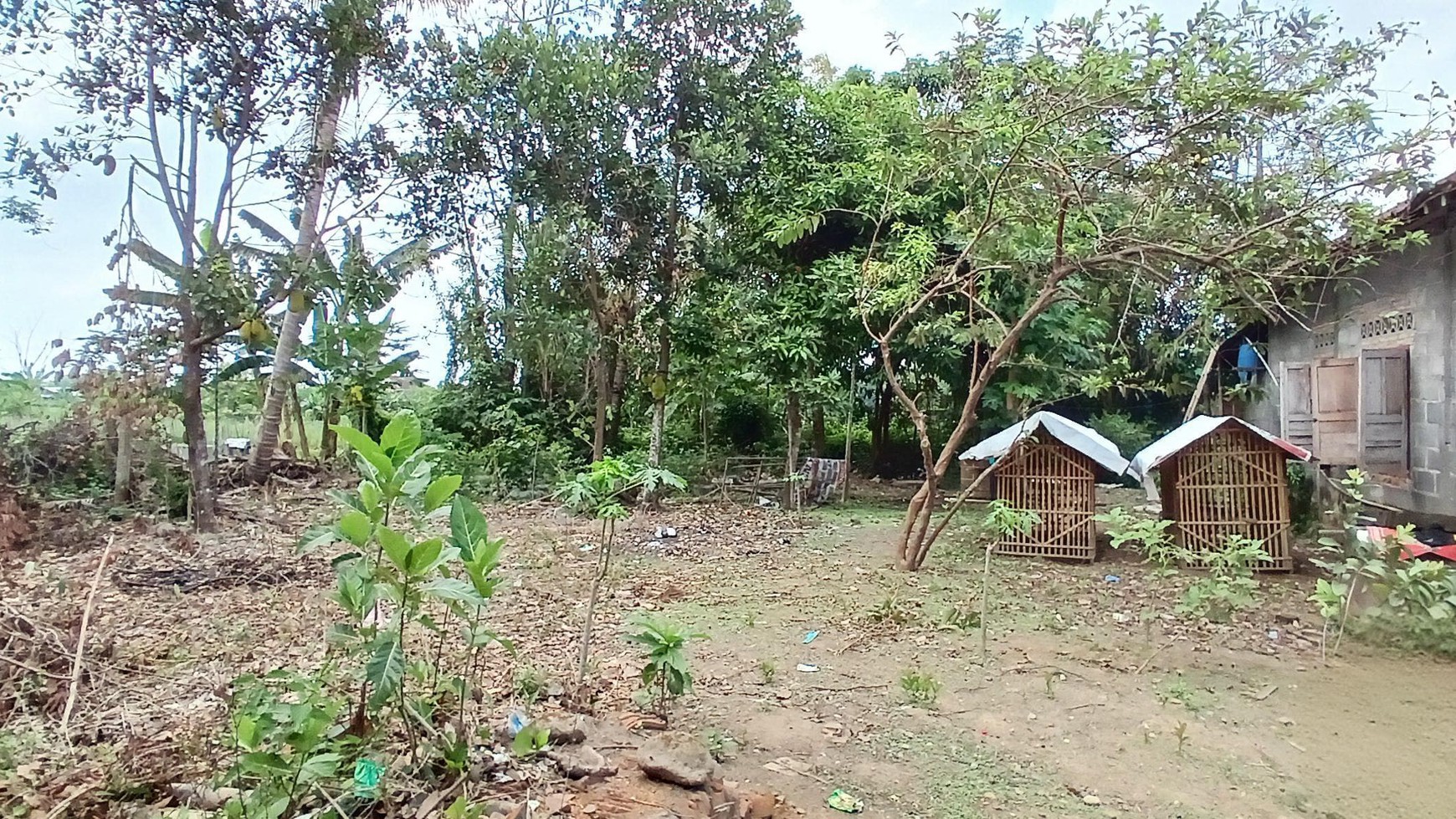 Tanah & Bangunan Lokasi Dekat Pasar Cebongan Mlati Sleman 