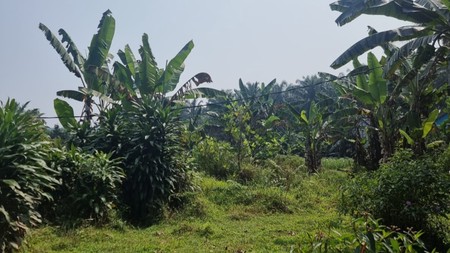 Tanah Dijual di Ranca Bungur Bogor - Lokasi Strategis, Siap Dikembangkan